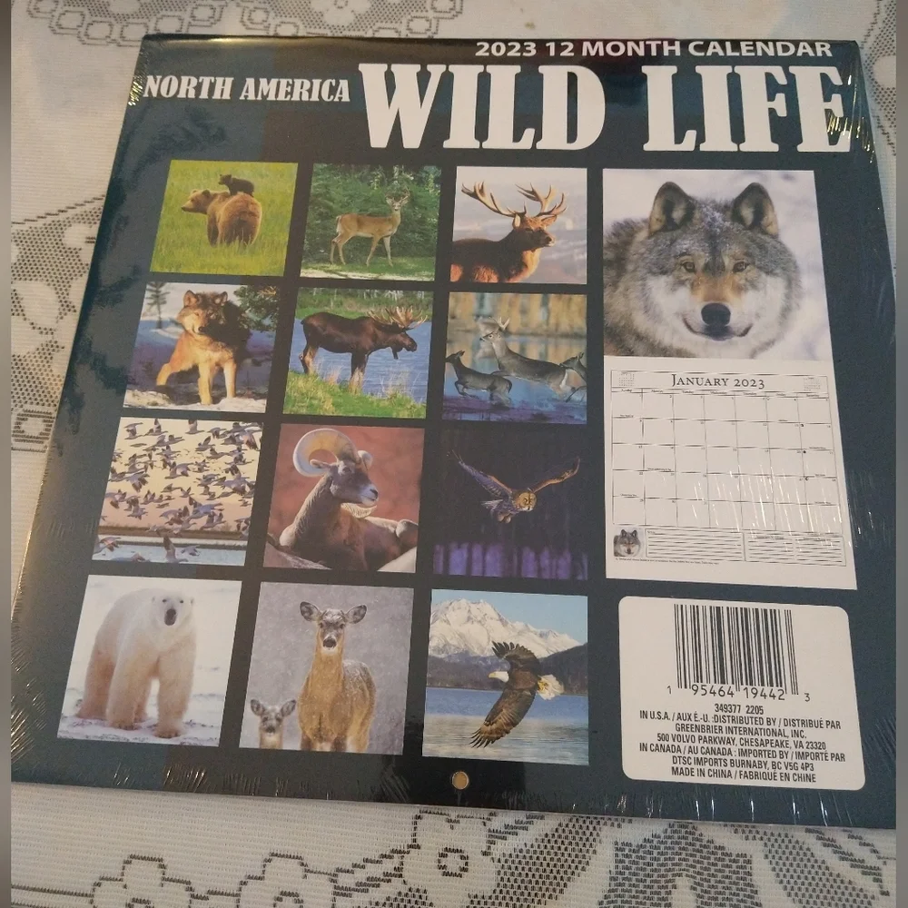 North America Wild Life 12*12